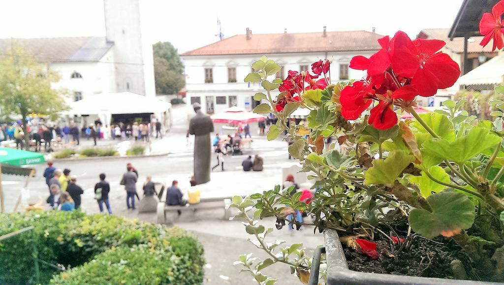 Apartments Hlapi With Spa Kobarid Dış mekan fotoğraf